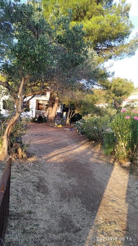 Raslina Sun Apartment Εξωτερικό φωτογραφία