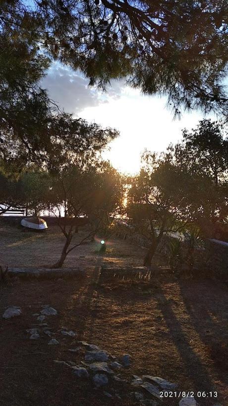 Raslina Sun Apartment Εξωτερικό φωτογραφία