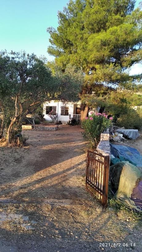 Raslina Sun Apartment Εξωτερικό φωτογραφία