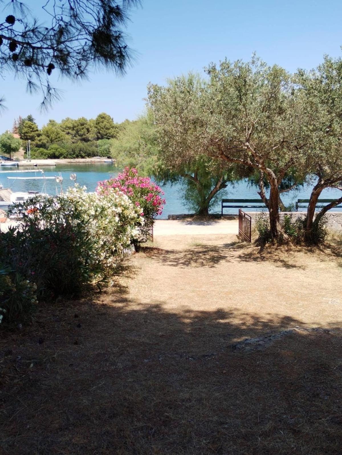 Raslina Sun Apartment Εξωτερικό φωτογραφία